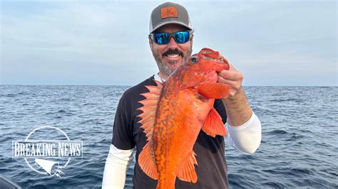 lizard fish|New Changes to the California Rockfish Regulations.